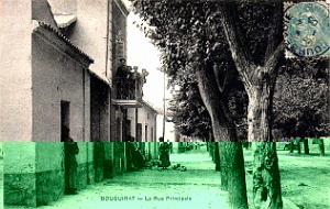 924- Bouguirat - Rue principale